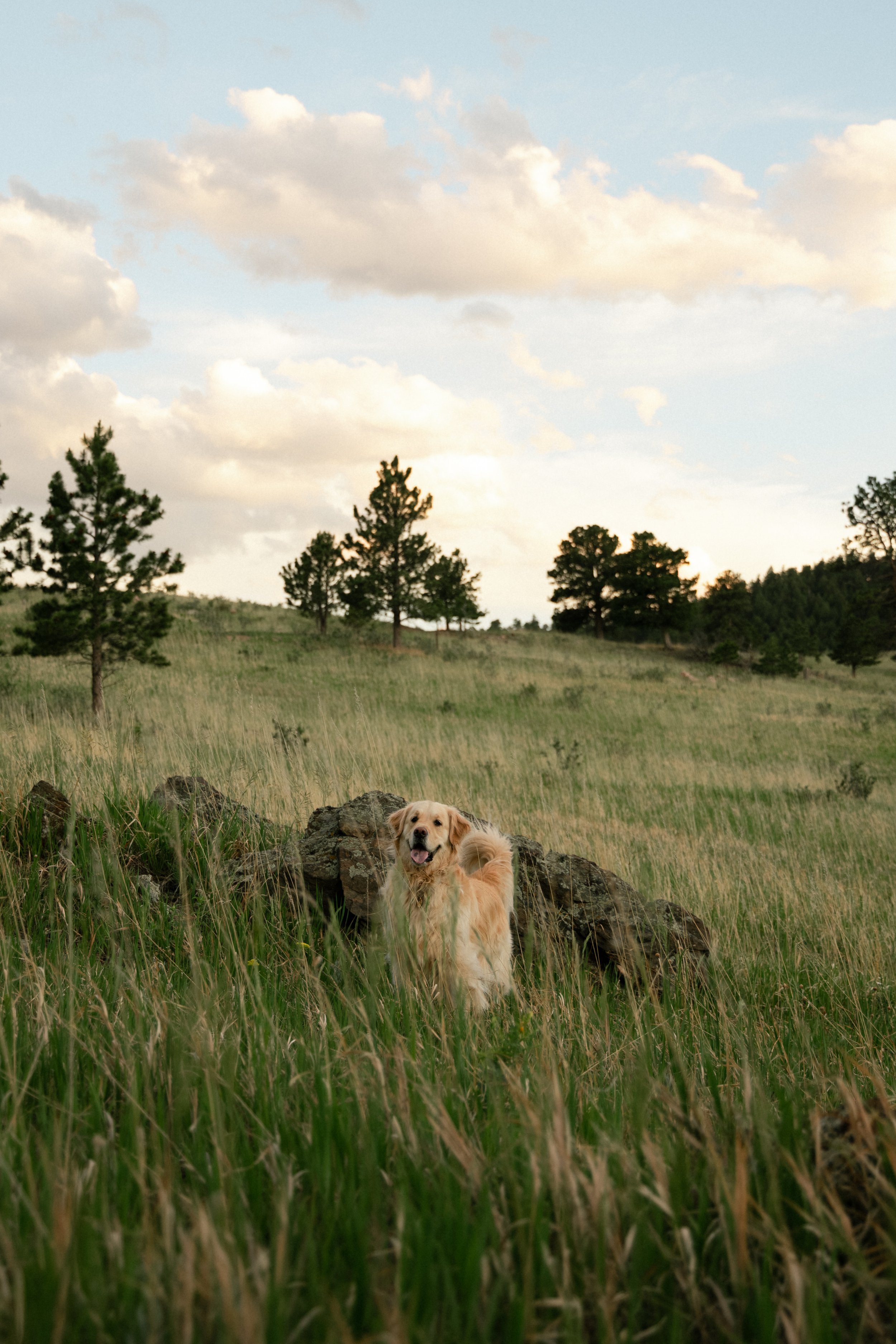 J+M_062026-6663.jpg