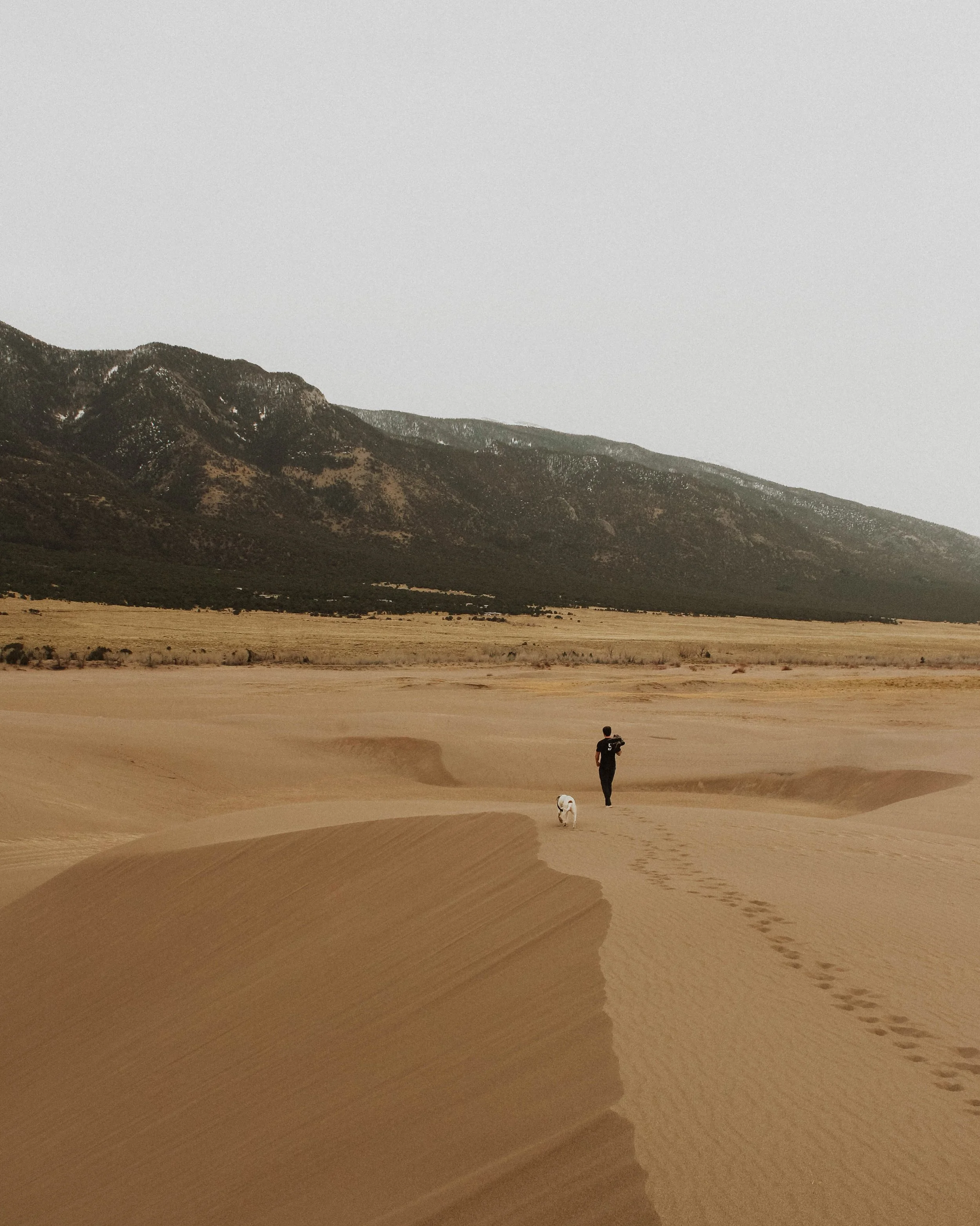 Person walking a dog across sandy desert dunes with mountains in the distance under overcast sky in great sand dunes national park colorado.