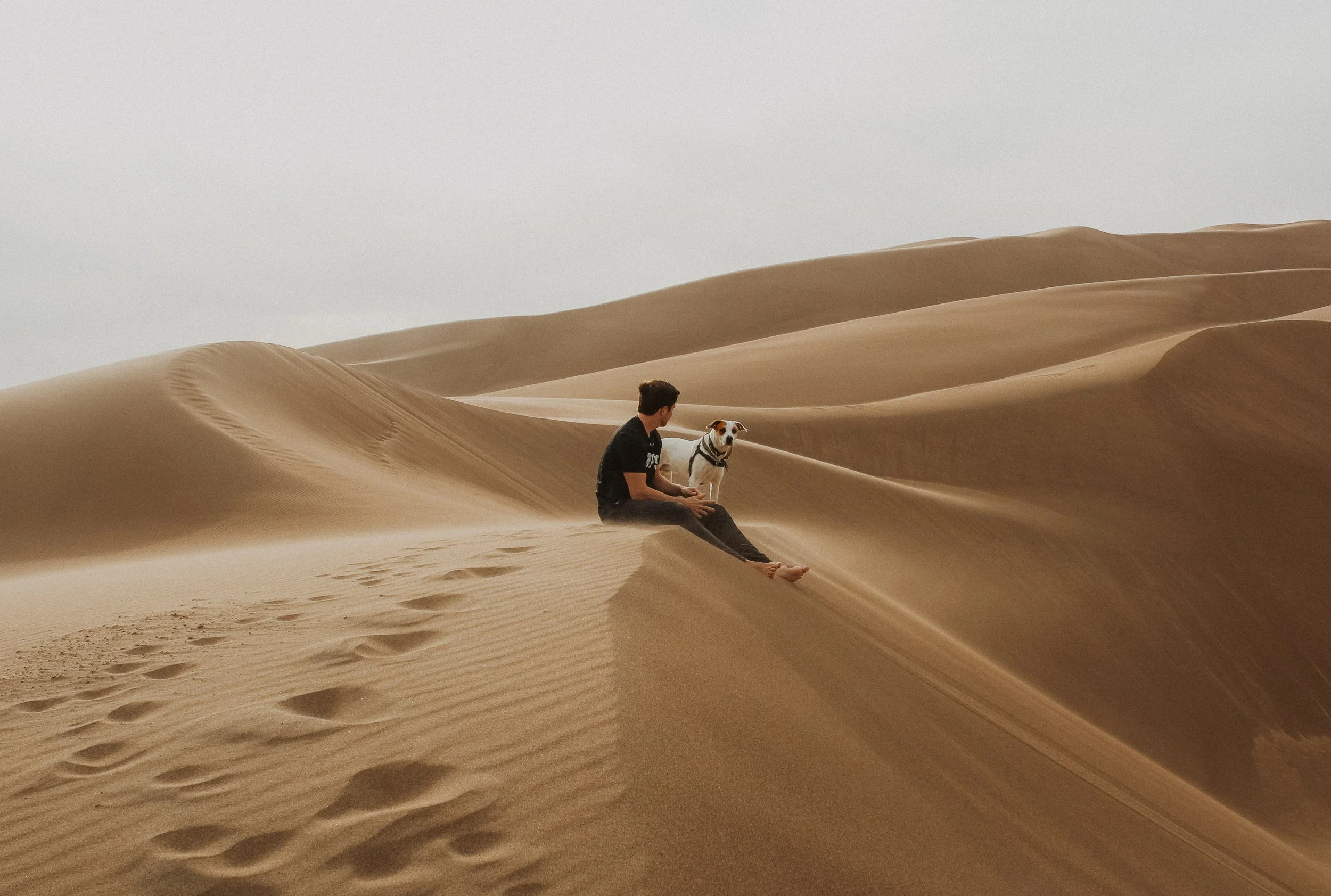 A person and a dog sitting on a sand dune in a desert with rolling sand dunes in the background.