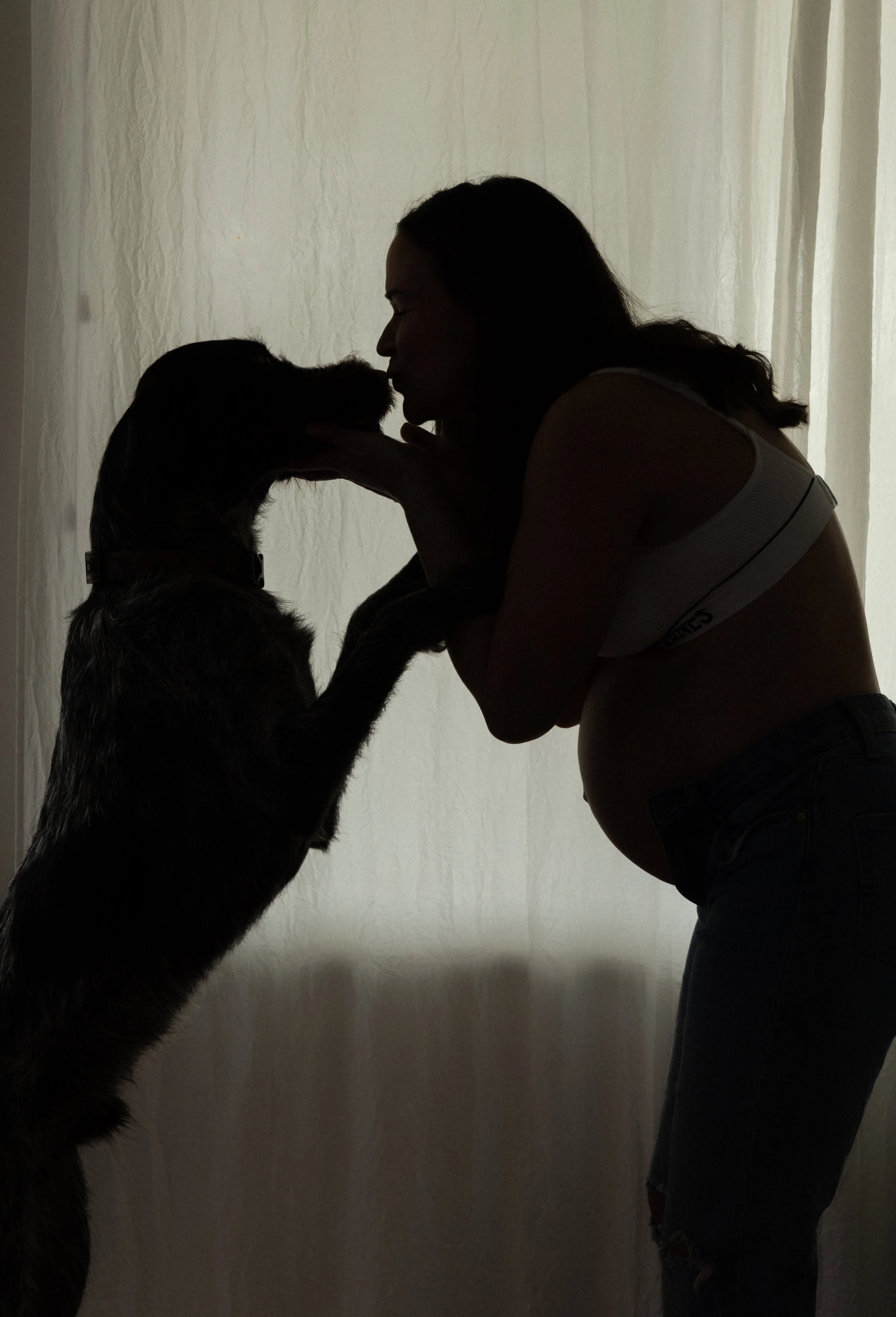 Silhouette of a pregnant woman holding her dog in front of a light-colored curtain.