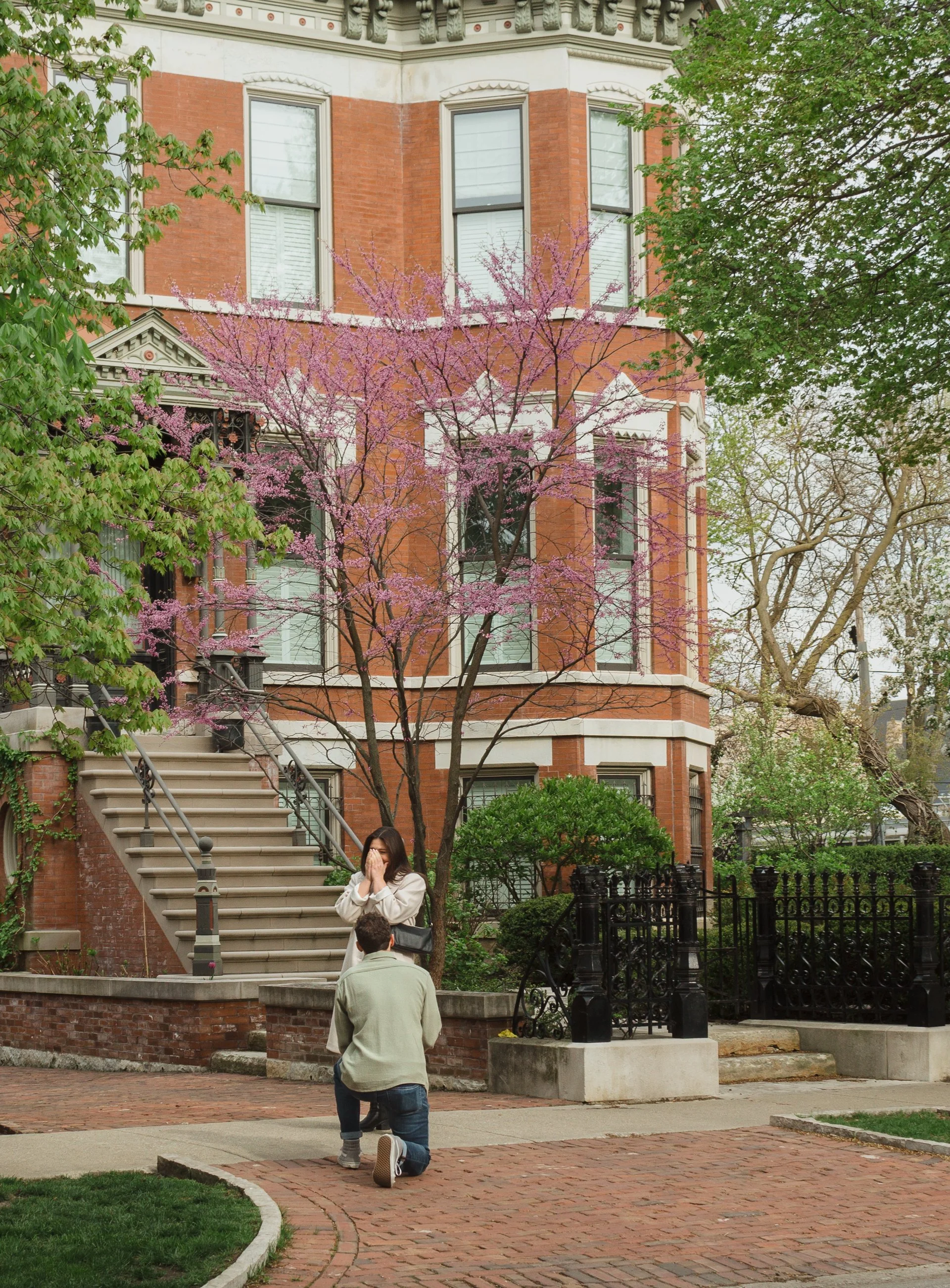 A man proposing to a woman on a brick sidewalk in front of a red brick townhouse with a blooming pink flowering tree, green trees, and lush shrubbery.