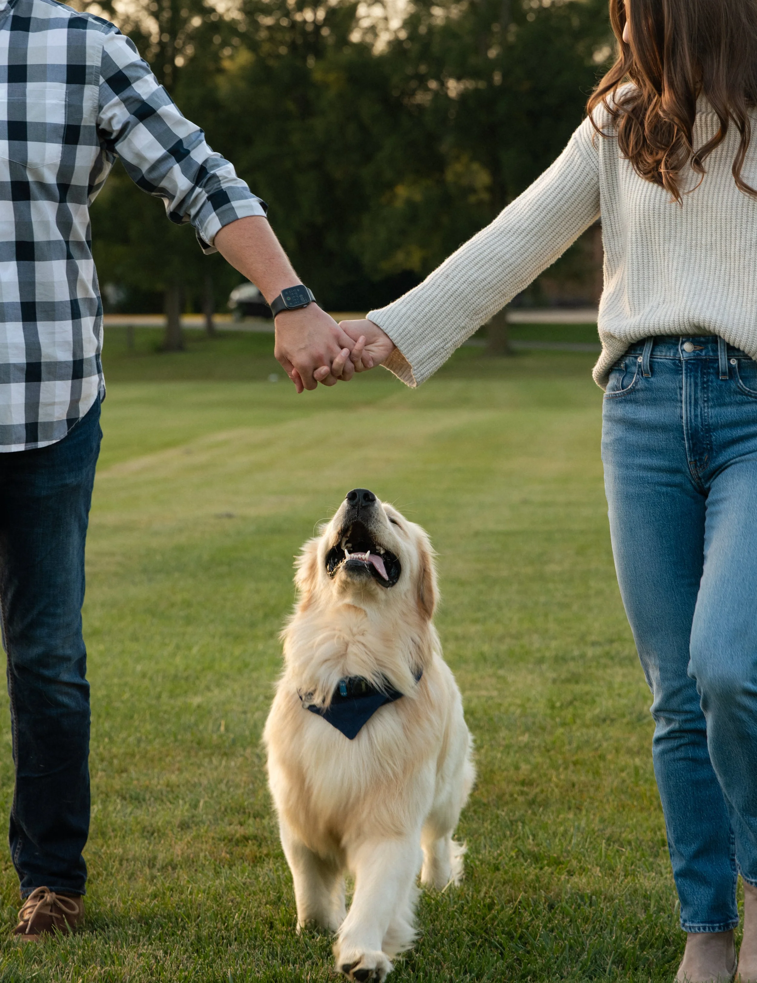 A golden retriever dog walking on grass while being held by two people, who are holding hands. One person is wearing a plaid shirt and jeans, and the other is wearing a cream sweater and jeans. The scene is set outdoors in a park with trees in the ba