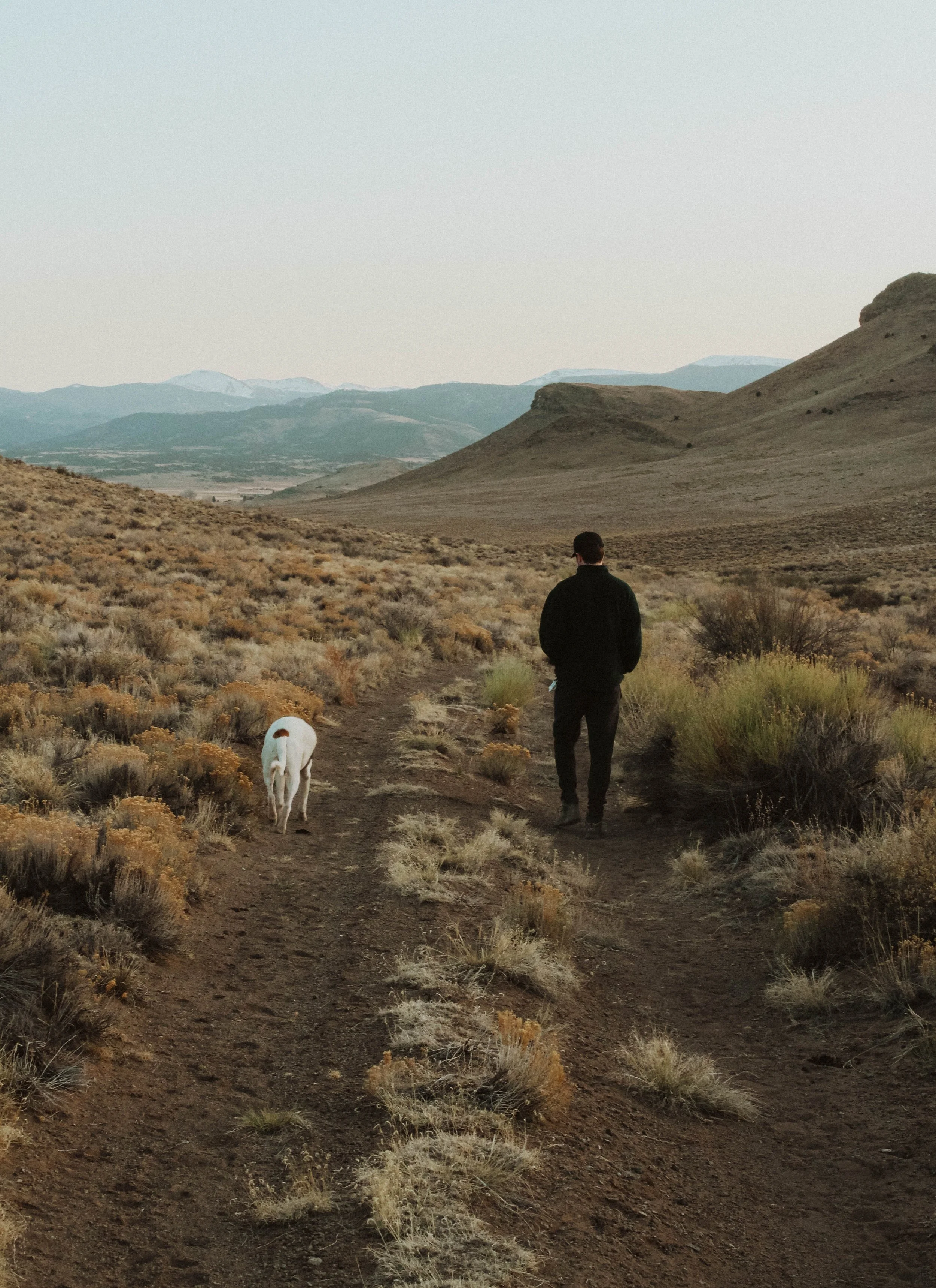 A man walking on a dirt trail with a dog in a dry, desert landscape with shrubs and hills in the background.