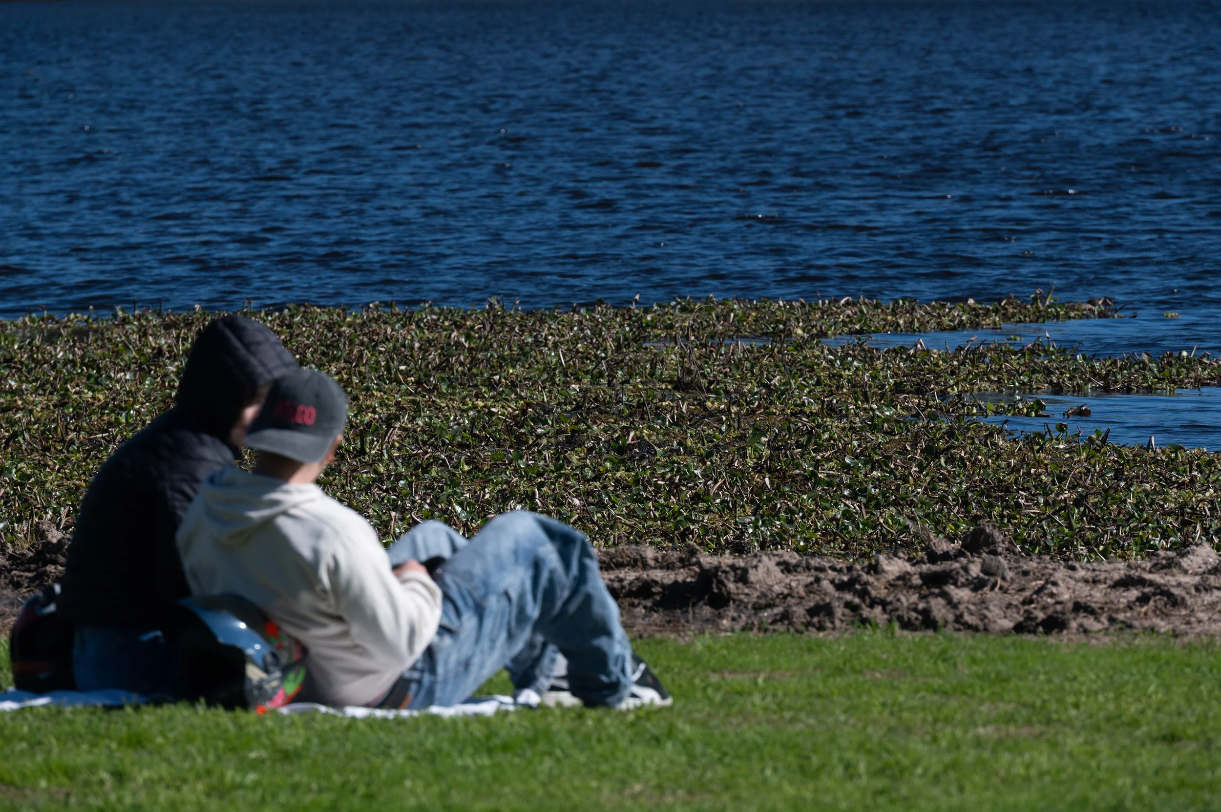 Algo (verde) flota en la laguna de San Vicente