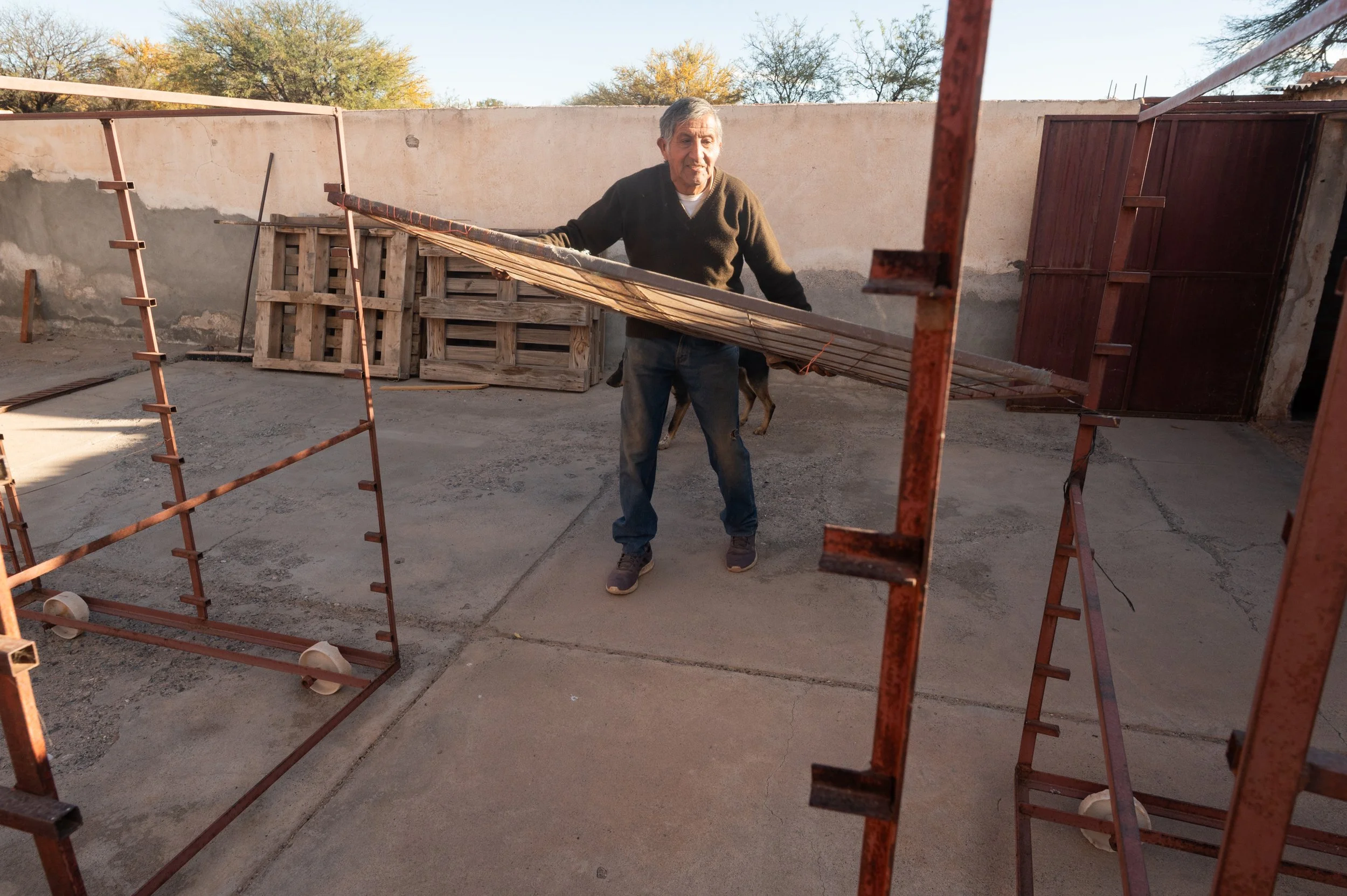 Miguel Angel Vargas acomoda las planchas donde se depositarán los pimientos que ingresarán al secador solar en la localidad de San Carlos, Salta, Argentina