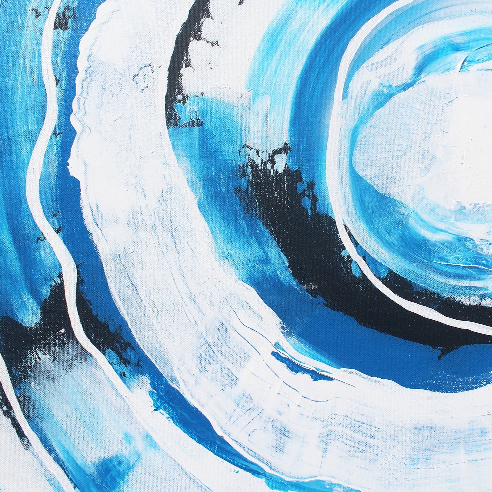 AMO_ocean+flow_zoom3.jpg
