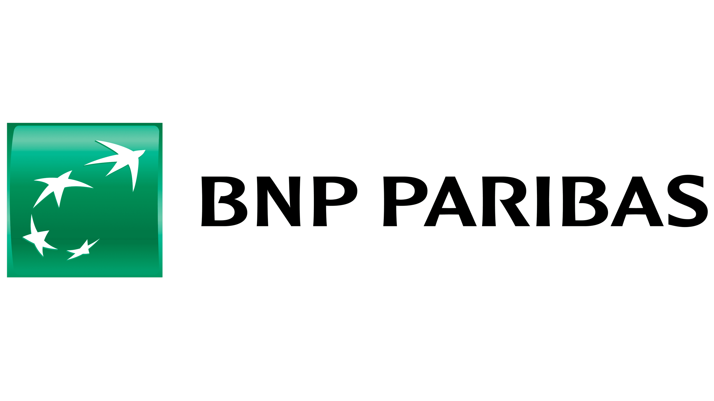 BNP-Paribas-Logo.png (Copie)