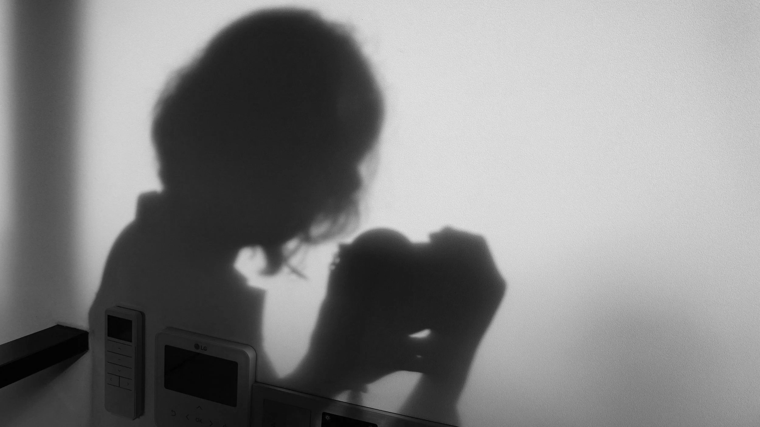 Domestic Violence Charges