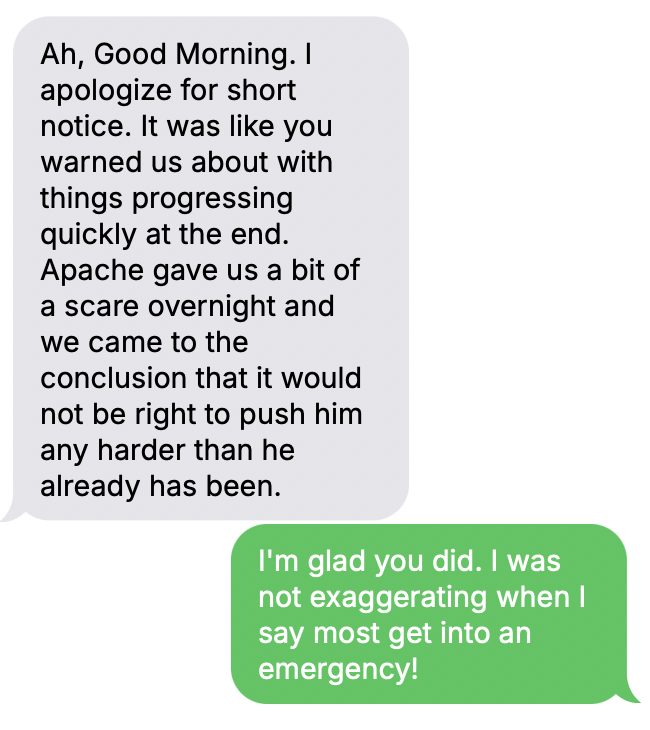 Client message appreciating Gentle Journey’s guidance during a pet’s decline