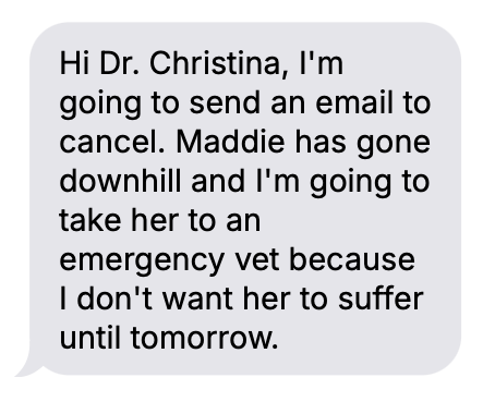 Client message to Dr. Christina about a pet worsening and needing help