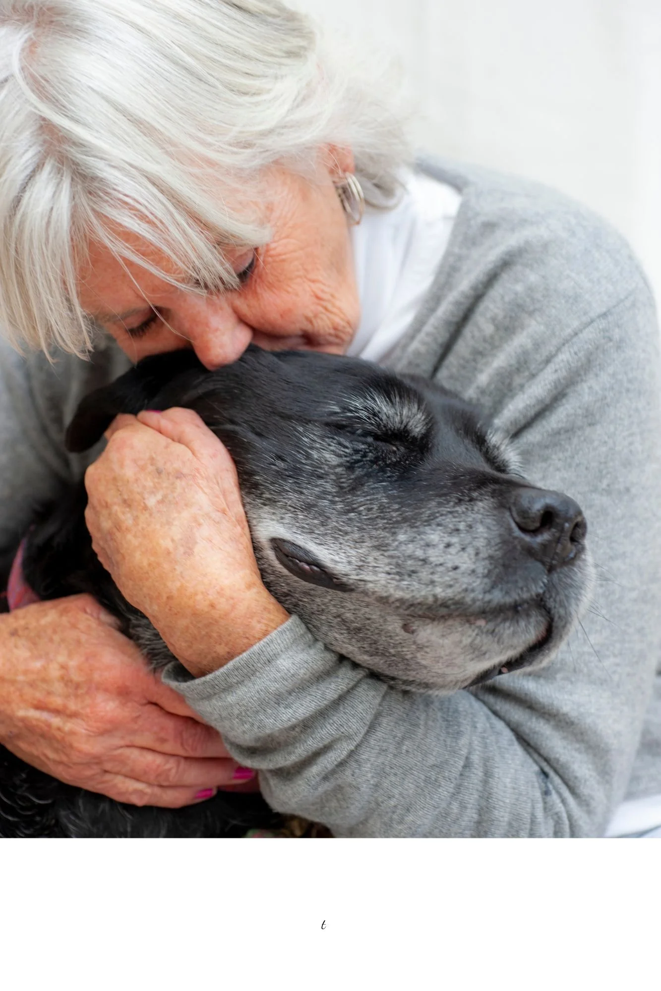 Compassionate in-home pet euthanasia care in Phoenix with a beloved dog resting peacefully in a loving embrace