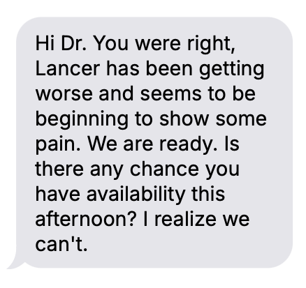 Client message sharing that Dr. Christina was right about signs of pain