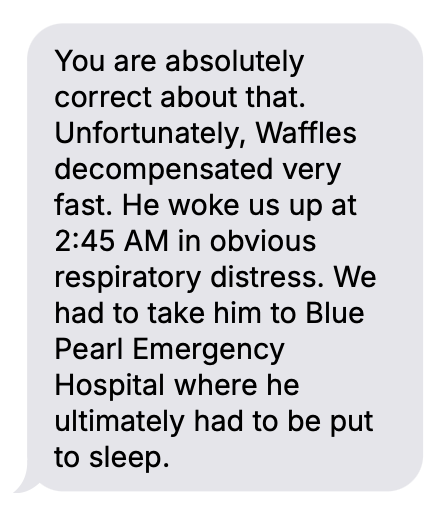 Client message confirming Gentle Journey was right about rapid decline