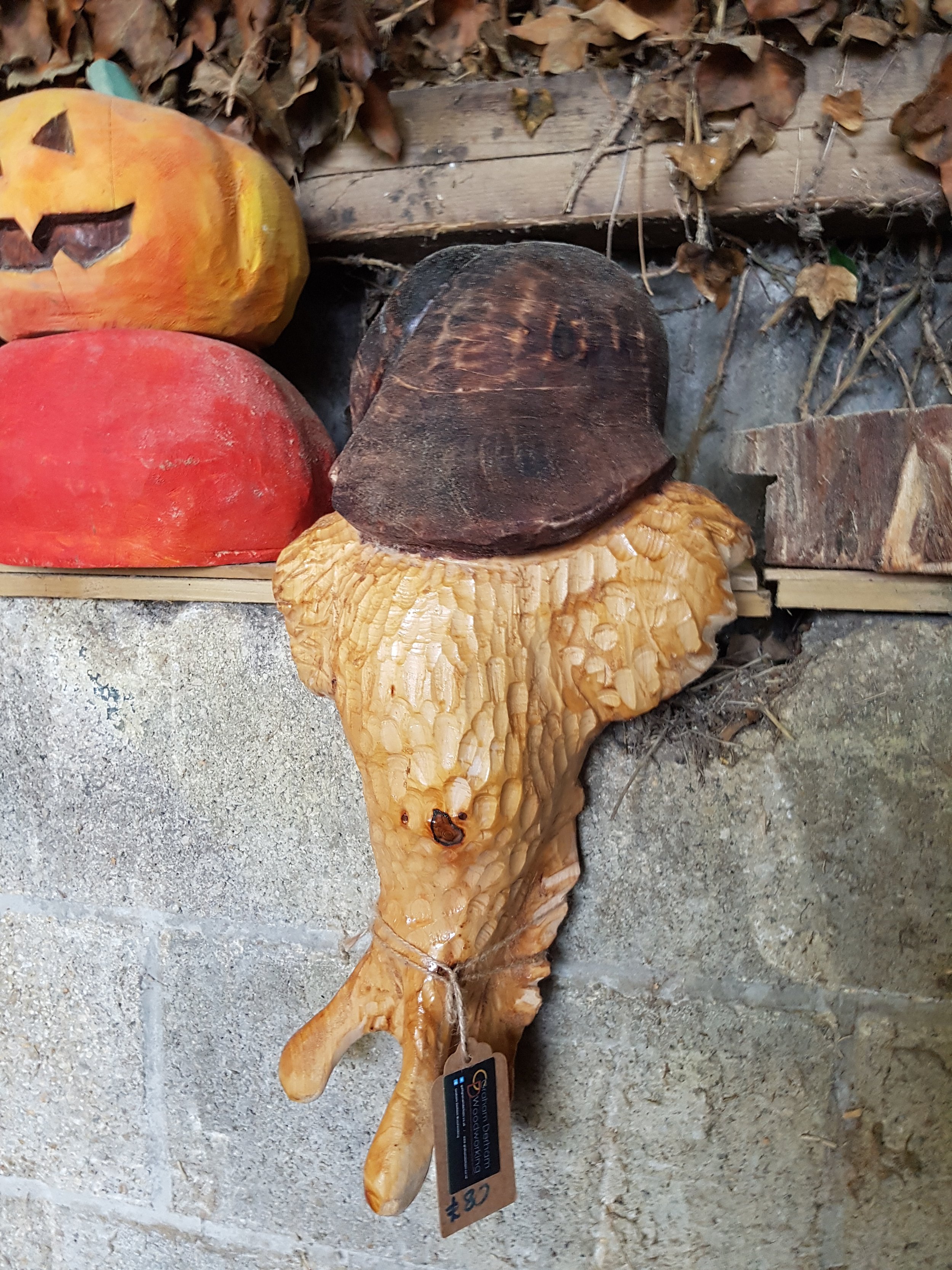 Snail in pine