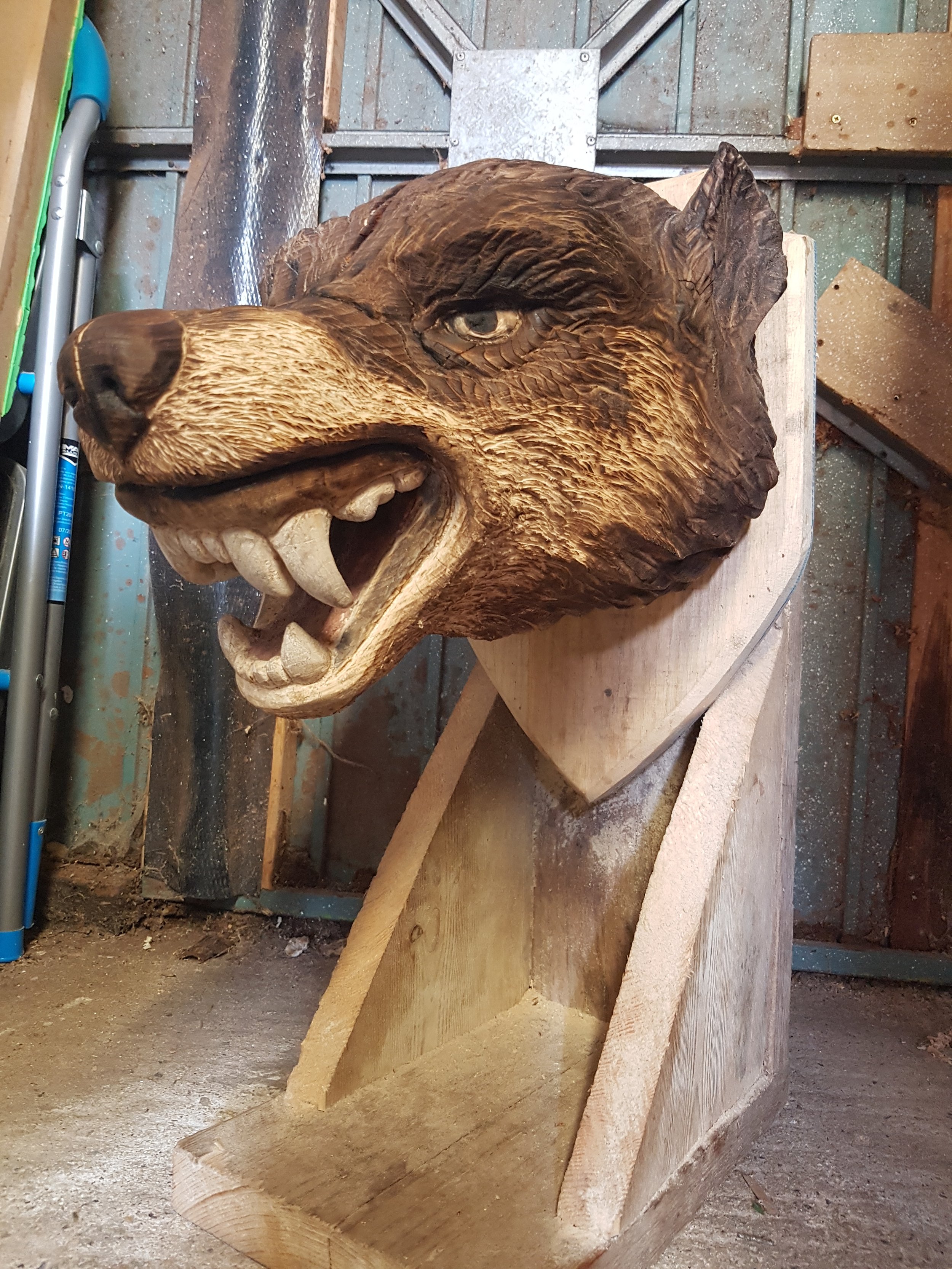Wolf hunting trophy in pine