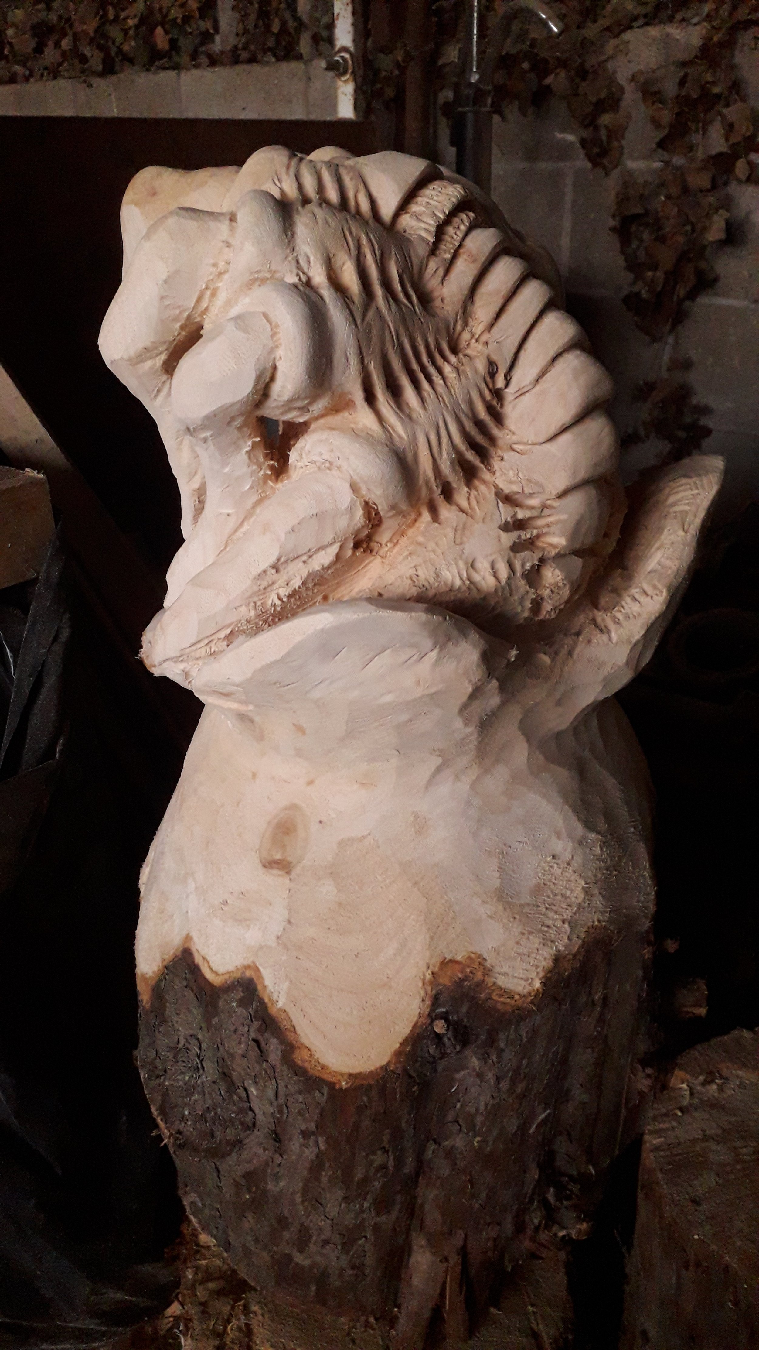 Facehugger (Alien) in spruce.