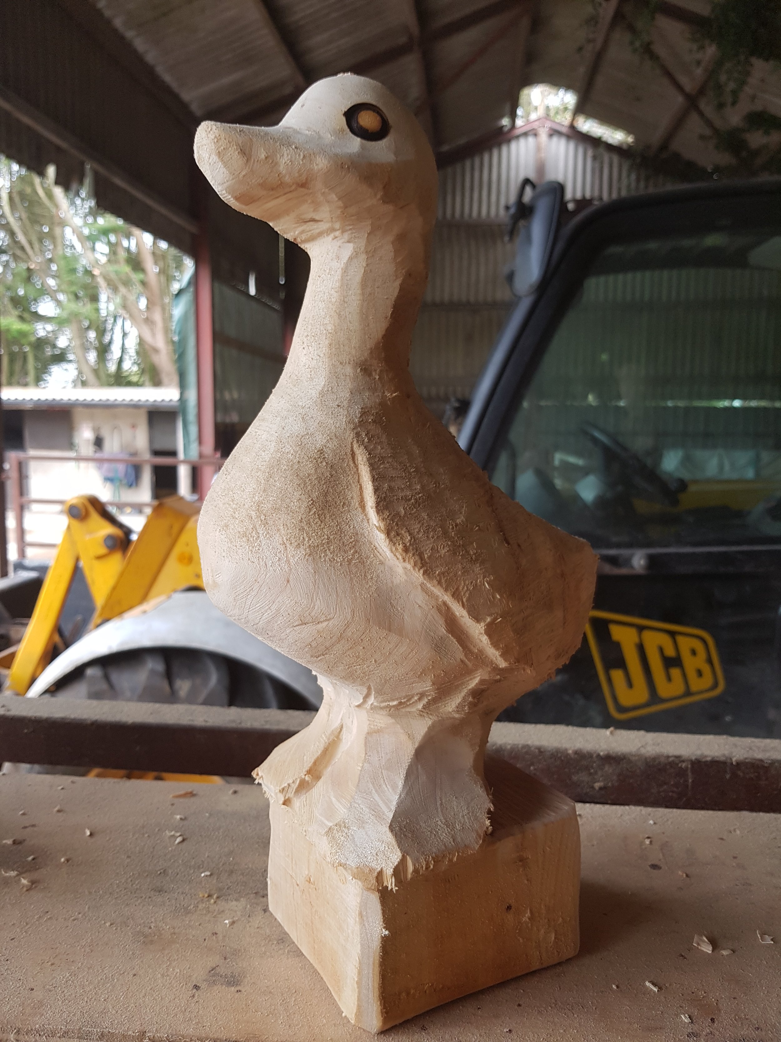 Odd duck