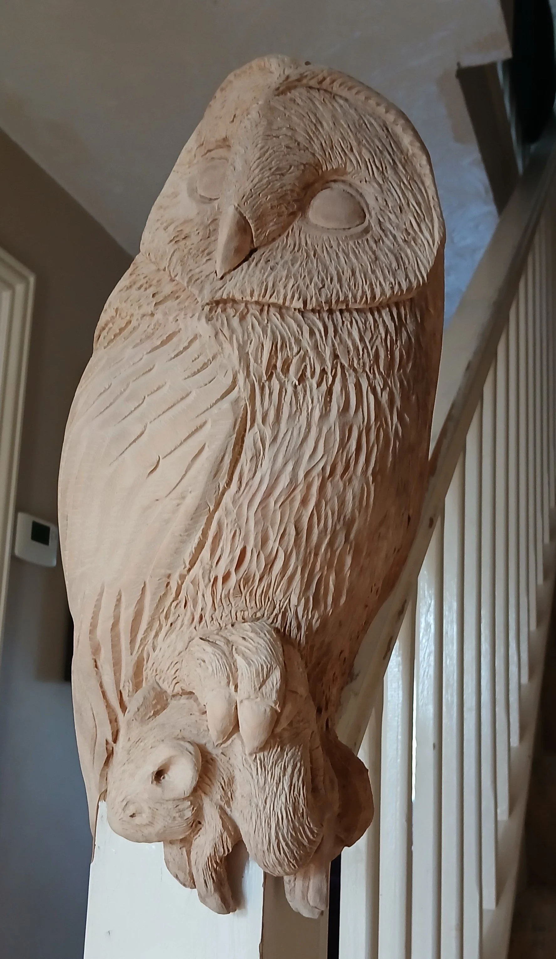 20250328_090039.jpg