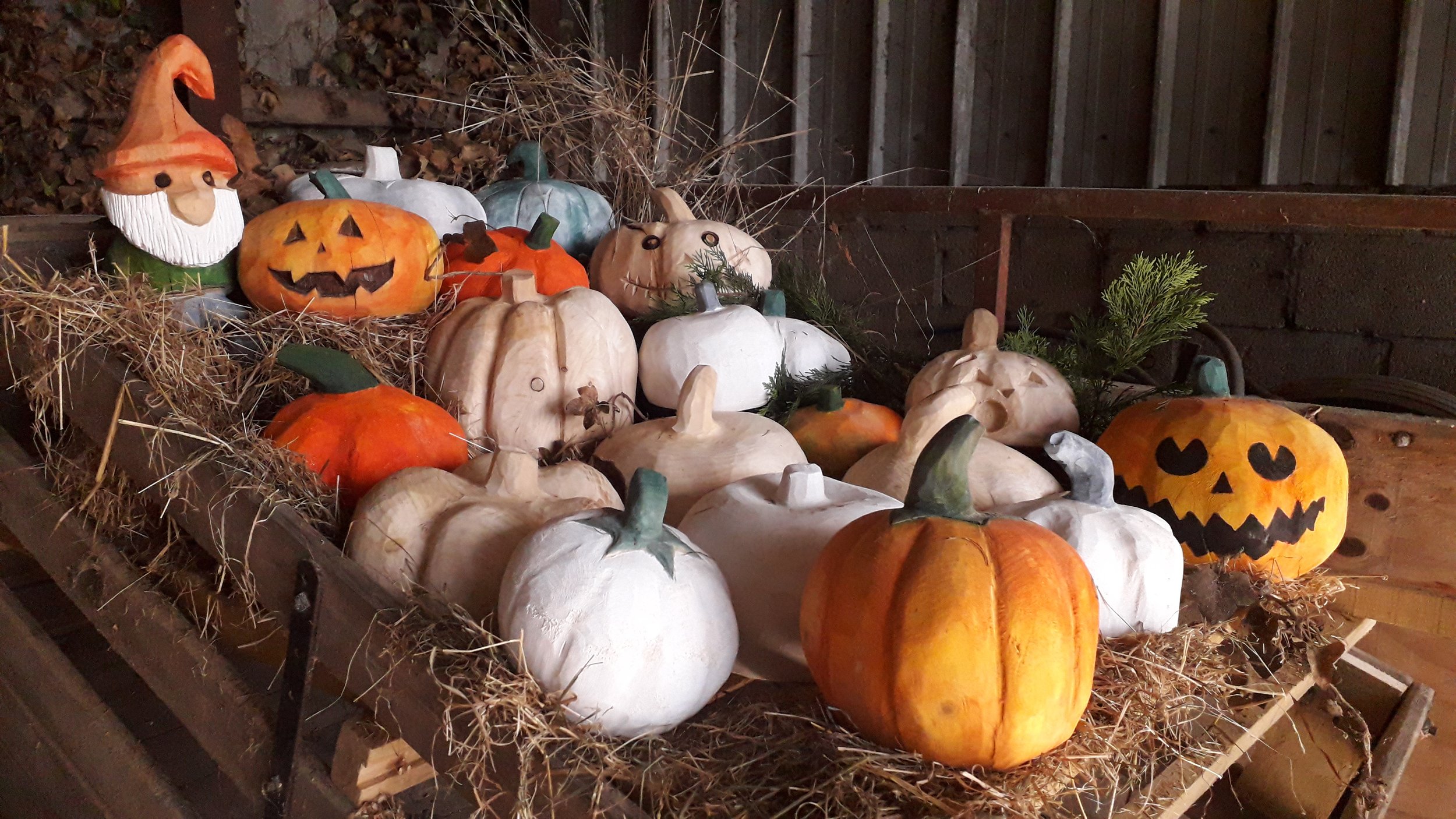 Pumpkin patch for Halloween