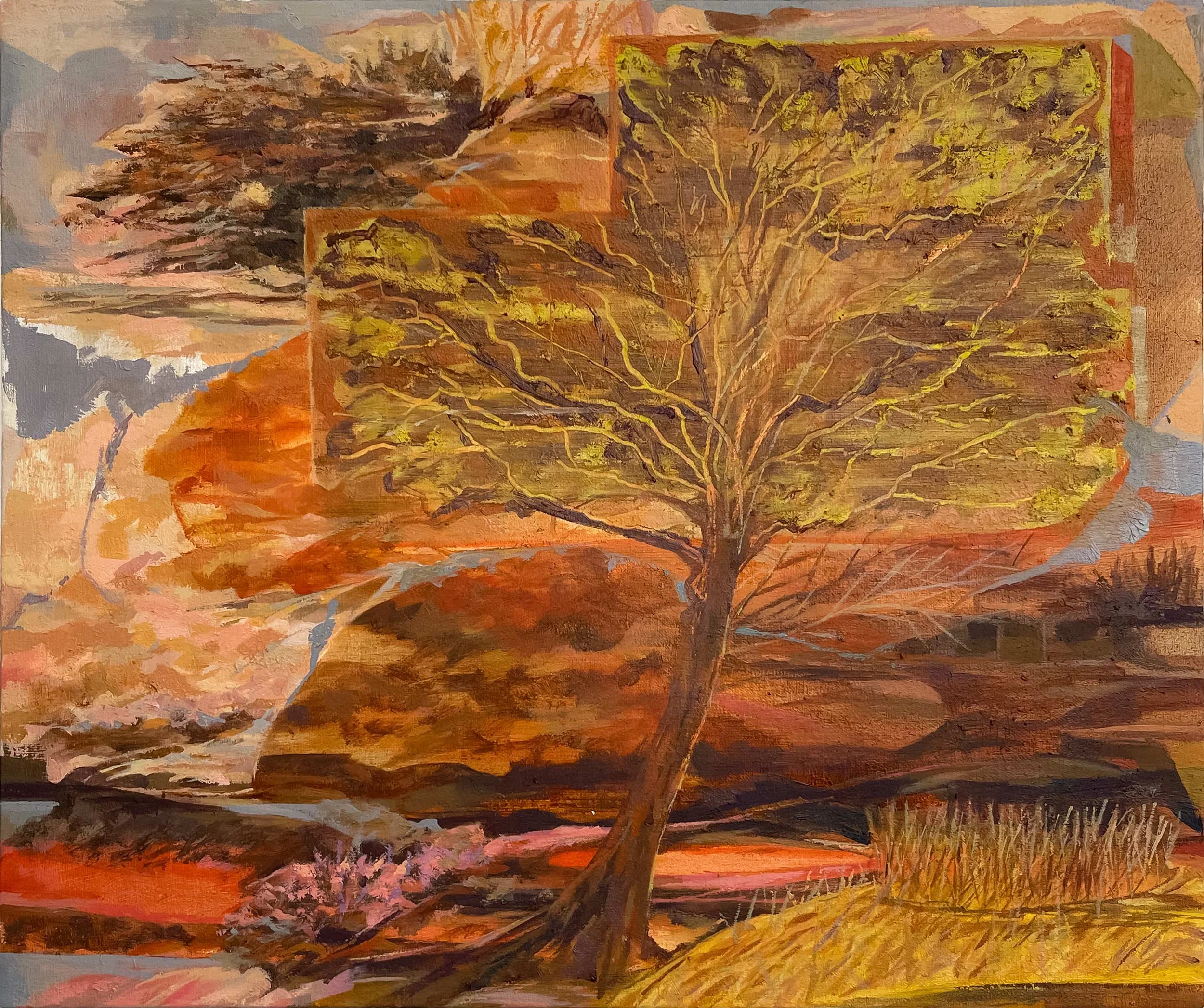 'Untitled (Collage)' 
oil on calico, 25 x 30cm, 2026