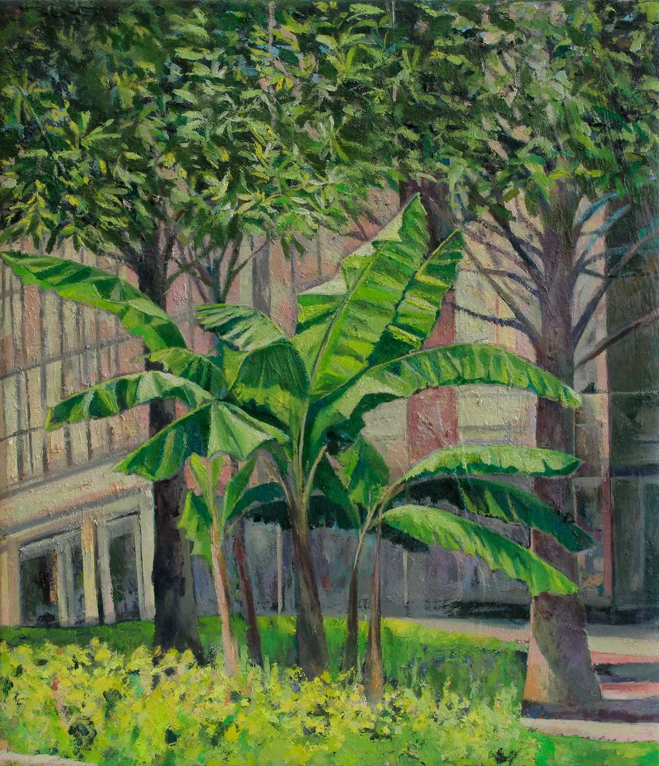 'Banana Plants In Brittany'
oil on canvas on board, 35 x 30cm, 2023