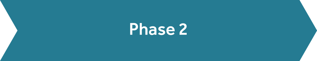 Strategy Development & Initial Planning