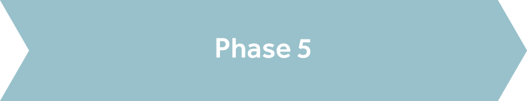 Track, Learn, & Update Plan