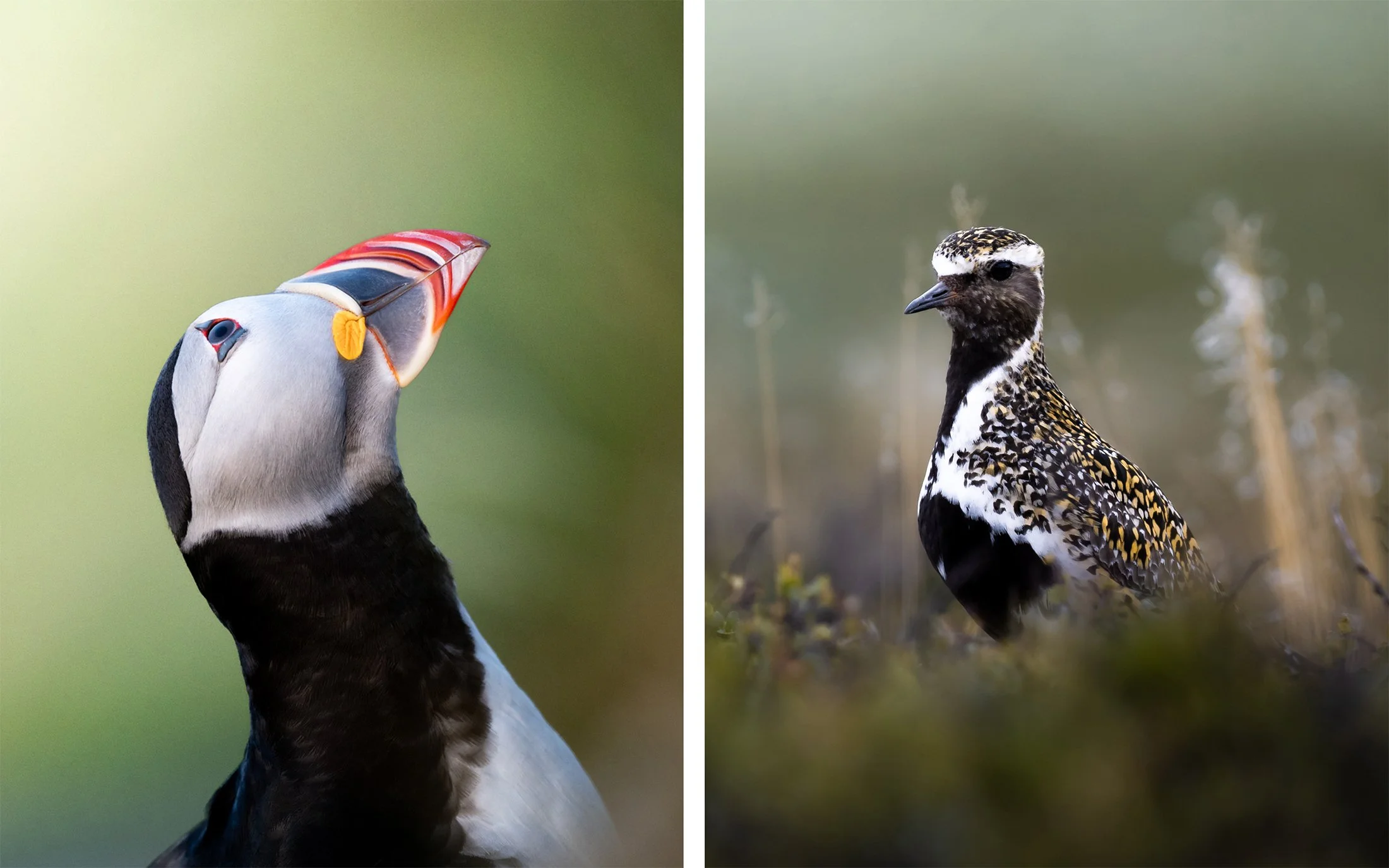 Spring Workshop: Best of two worlds!