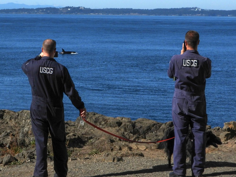 USCG Officers Watching J Pod