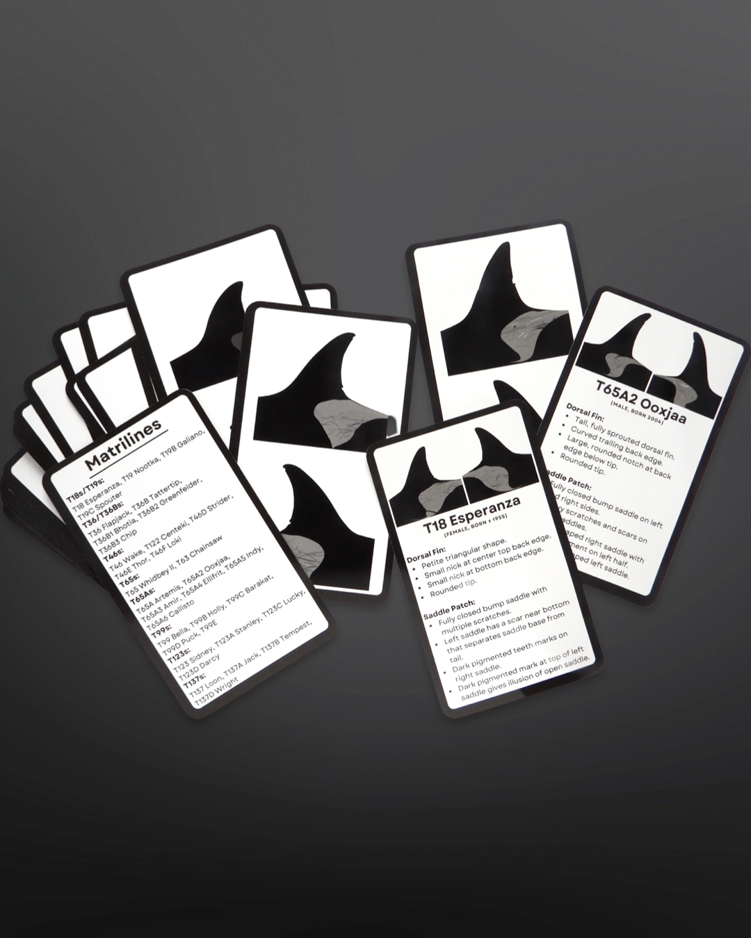 Transient Flashcards — Orca Conservancy
