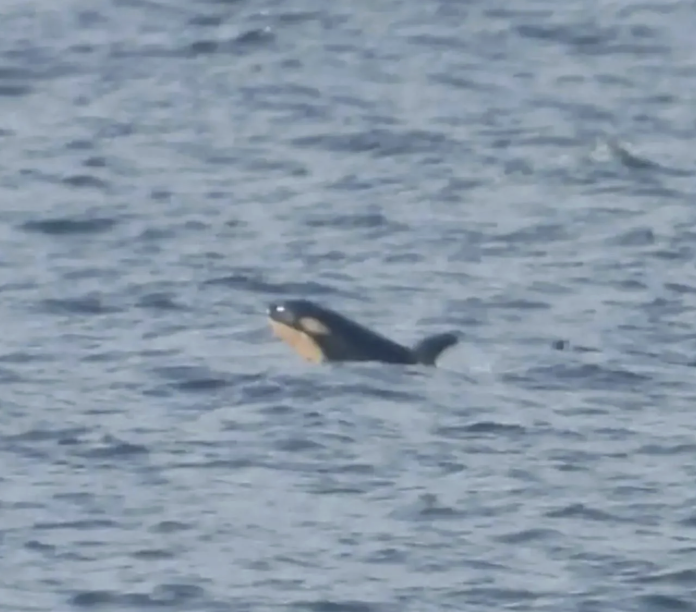 Quarterly Update | March 2026