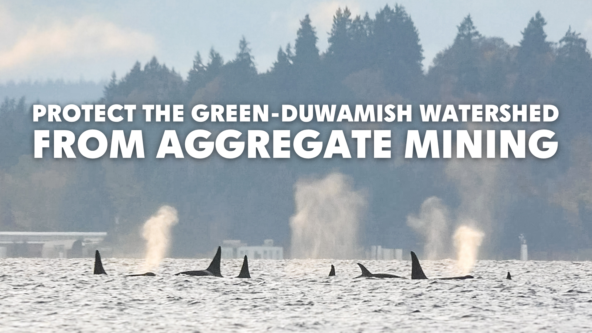 ACTION ALERT: Protect Green-Duwamish Watershed from Aggregate Mining