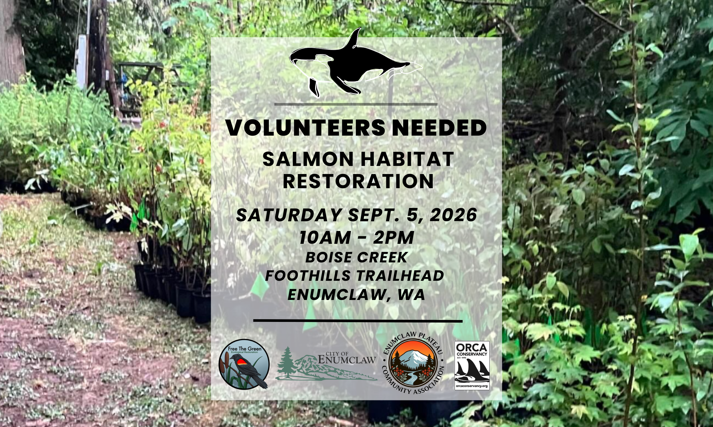 Boise Creek | Foothills Trailhead Salmon Restoration Event 