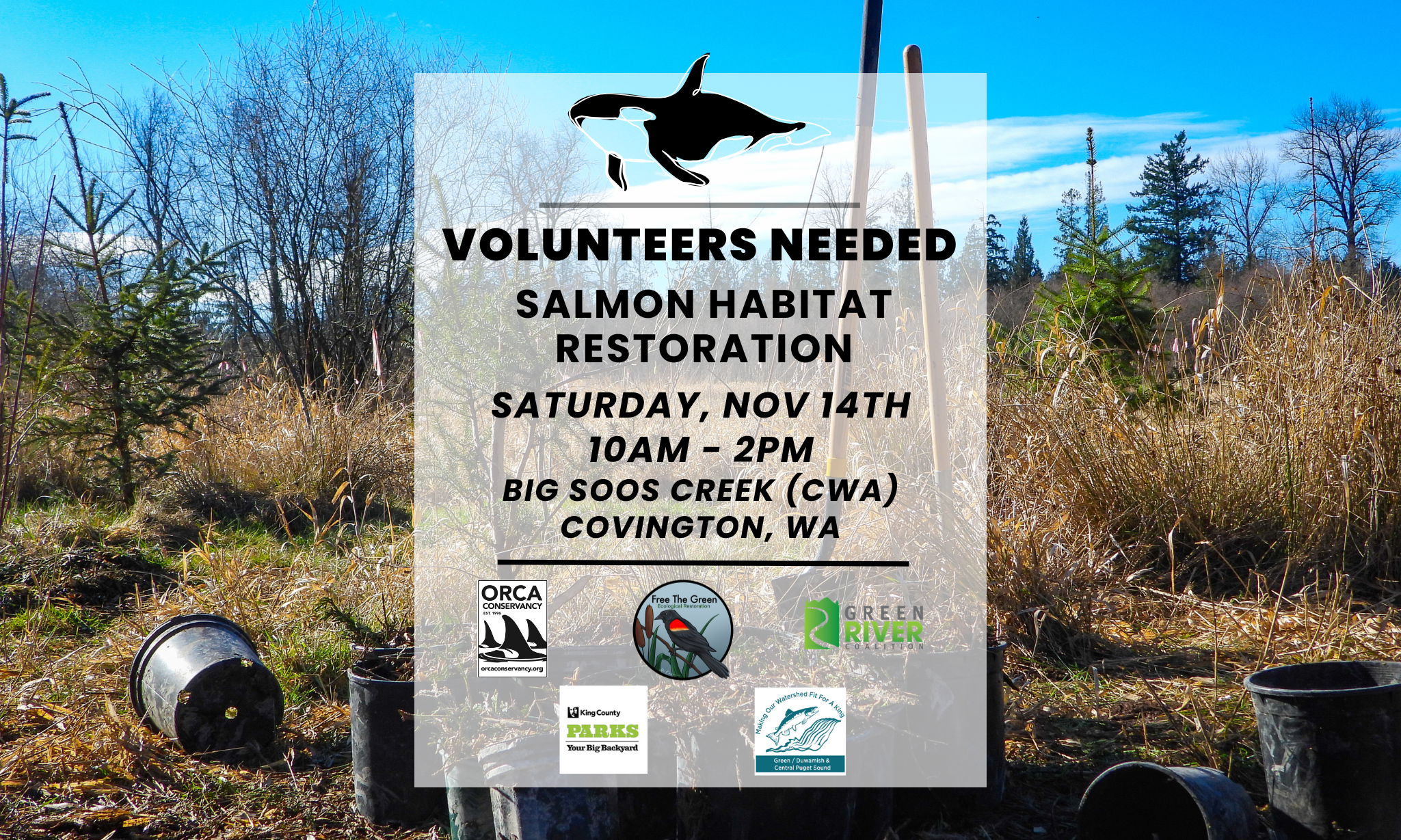Big Soos Creek Salmon Restoration Event
