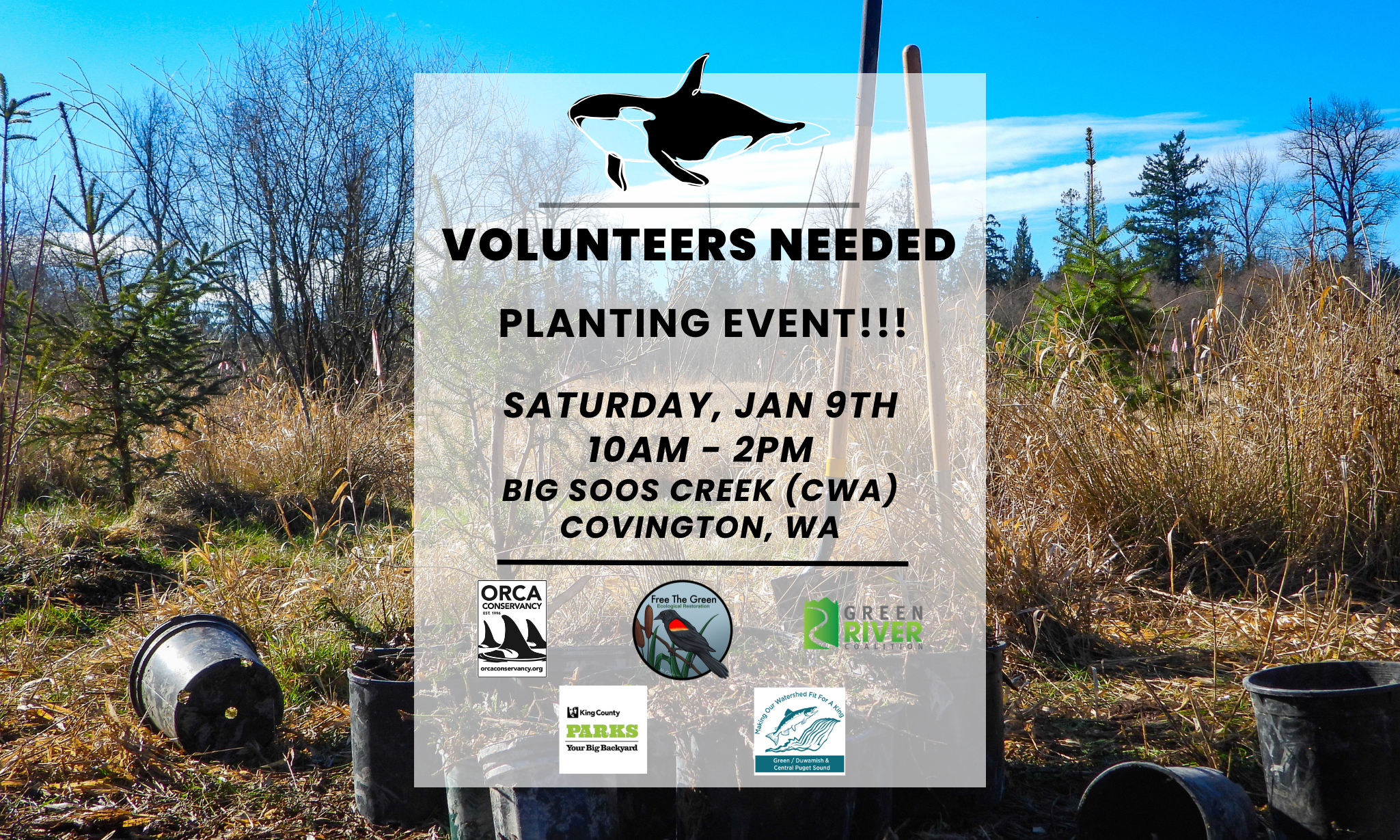 PLANTING EVENT! Big Soos Creek Salmon Restoration Site