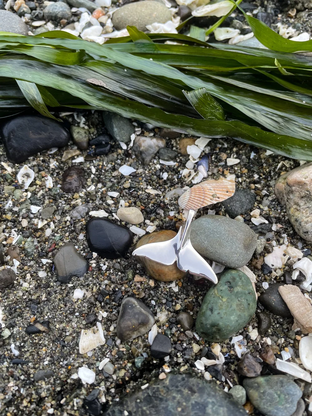 T65A5 Indy Fluke Silver Pendant — Orca Conservancy