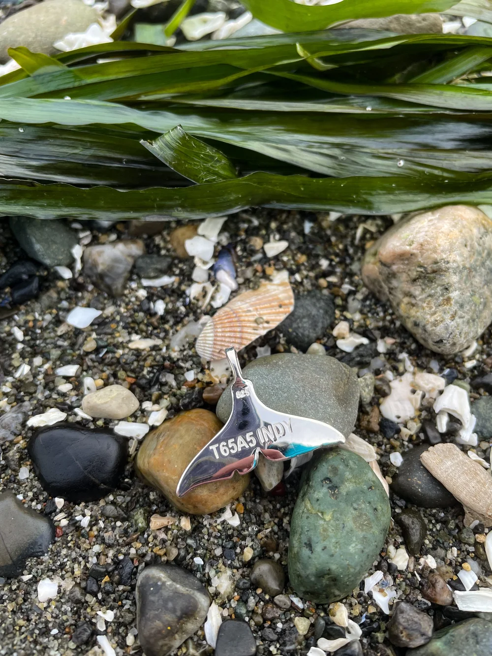 T65A5 Indy Fluke Silver Pendant — Orca Conservancy