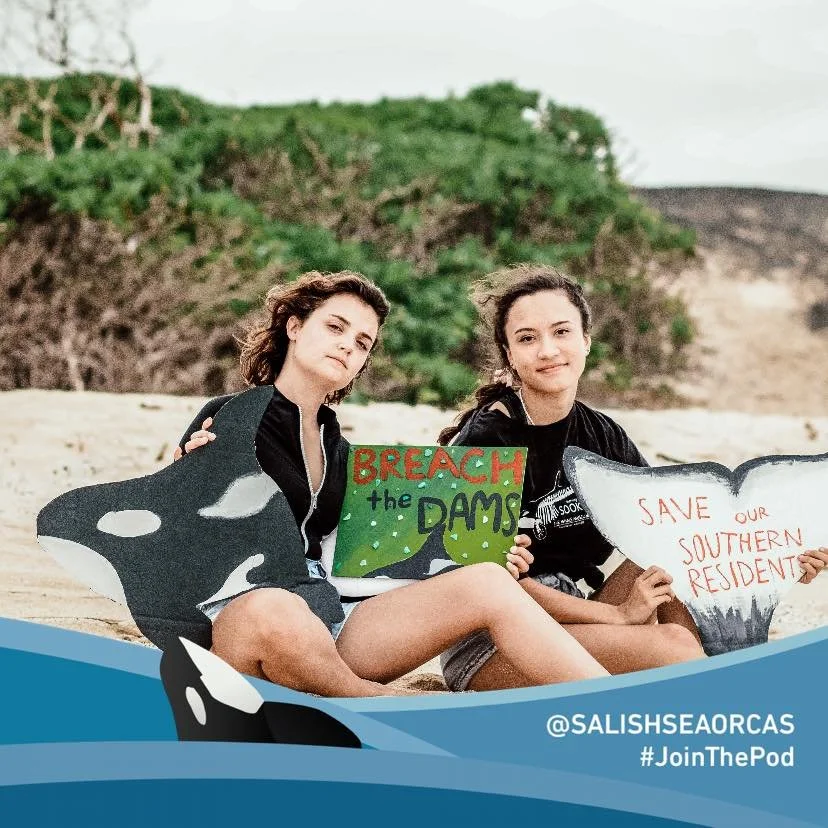 Kendra Breach The Dams.jpeg