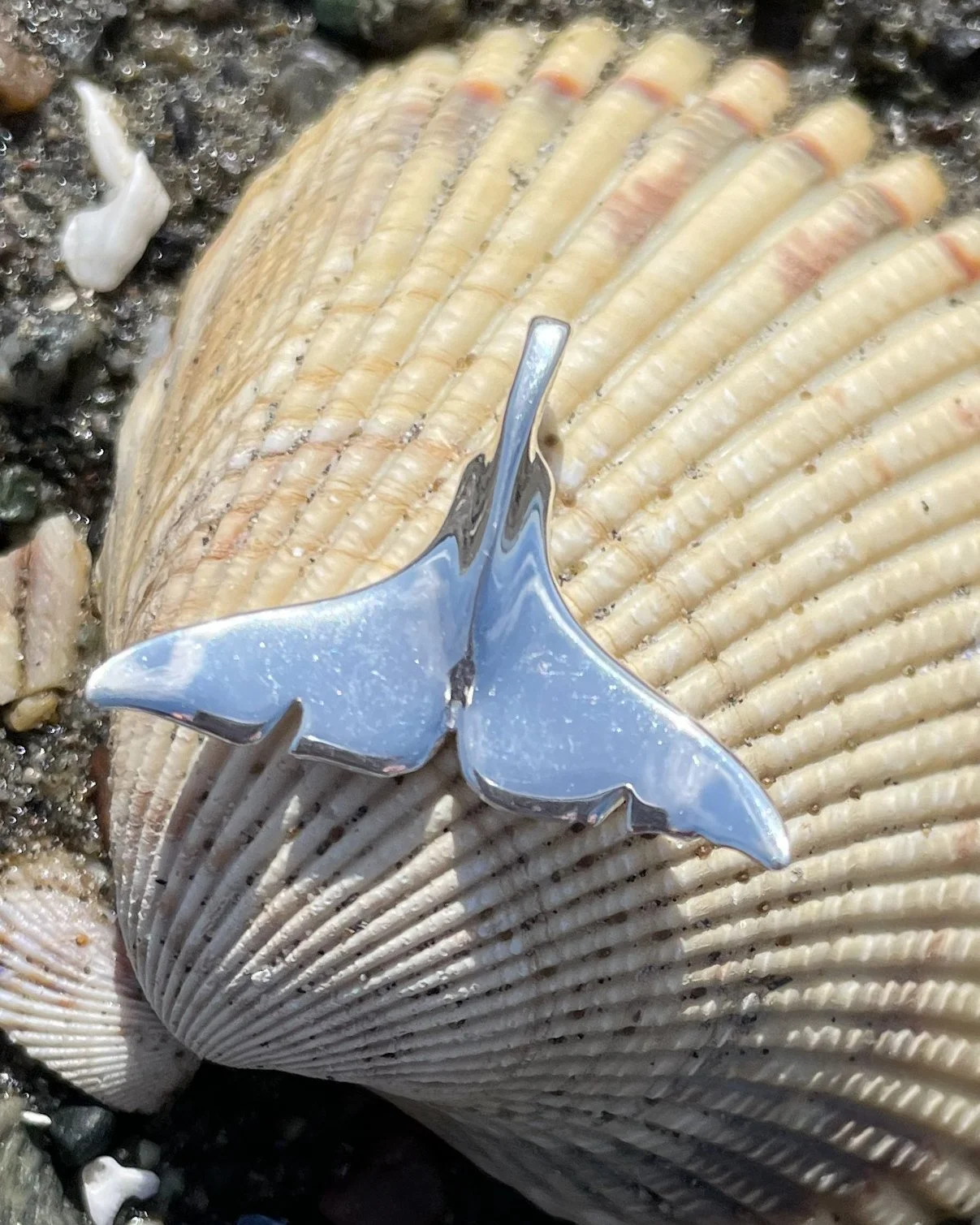 L25 Ocean Sun Fluke Silver Pendant — Orca Conservancy