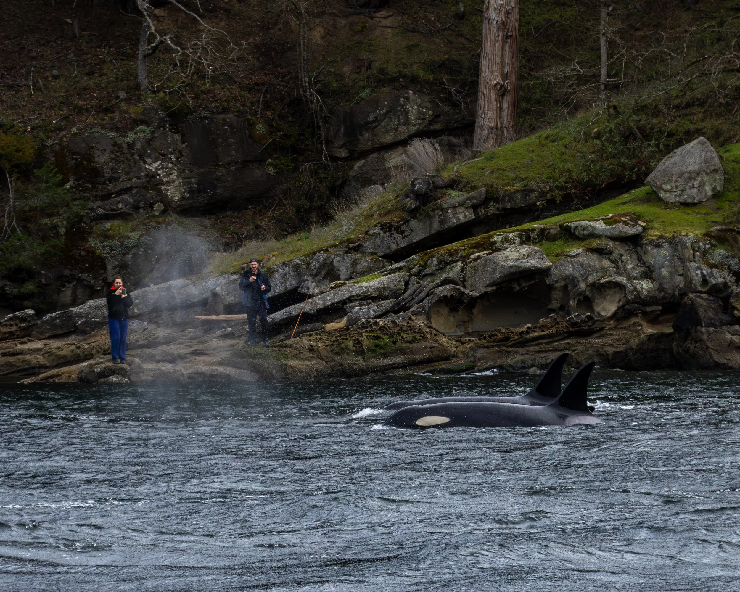 ACTION ALERT: Oppose Proposed Industrial Rezoning Near Critical Marine Habitat