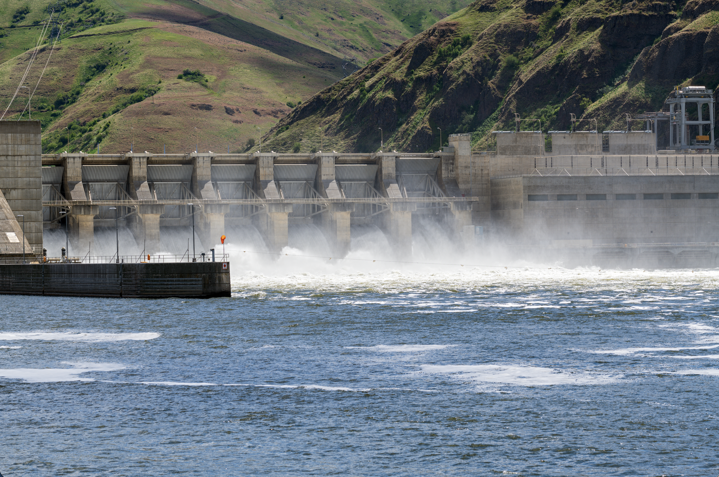 ACTION ALERT: Submit a Public Comment on Lower Snake River Dams &amp; Salmon Recovery 