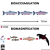 Orca Biocell Isolation Learn — Orca Conservancy