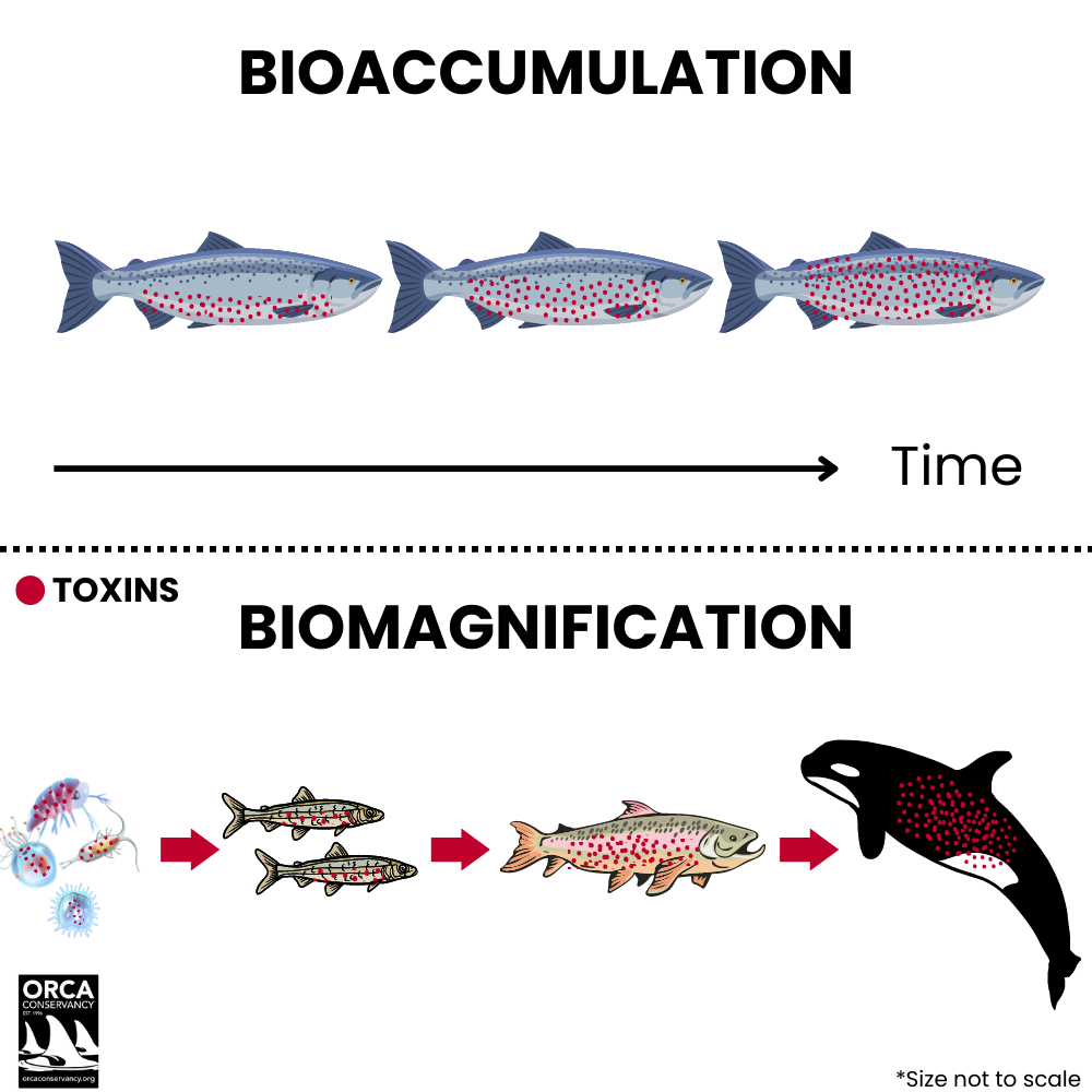 Orca Biocell Isolation Learn — Orca Conservancy