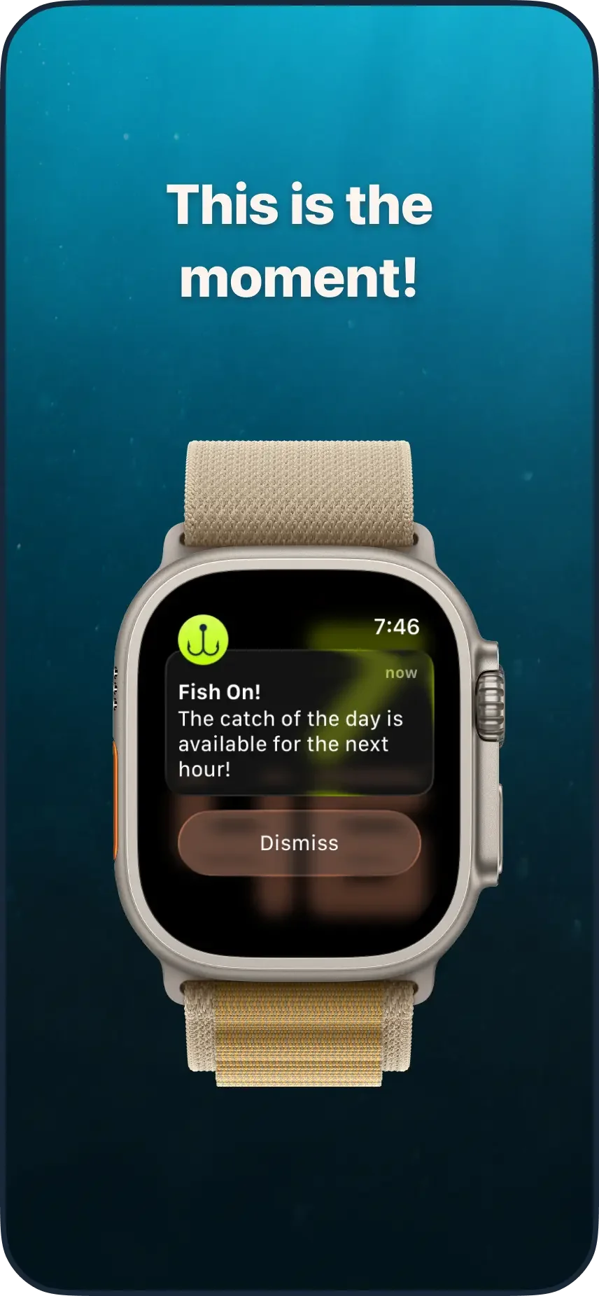 FishOClock-iPhone-03.webp