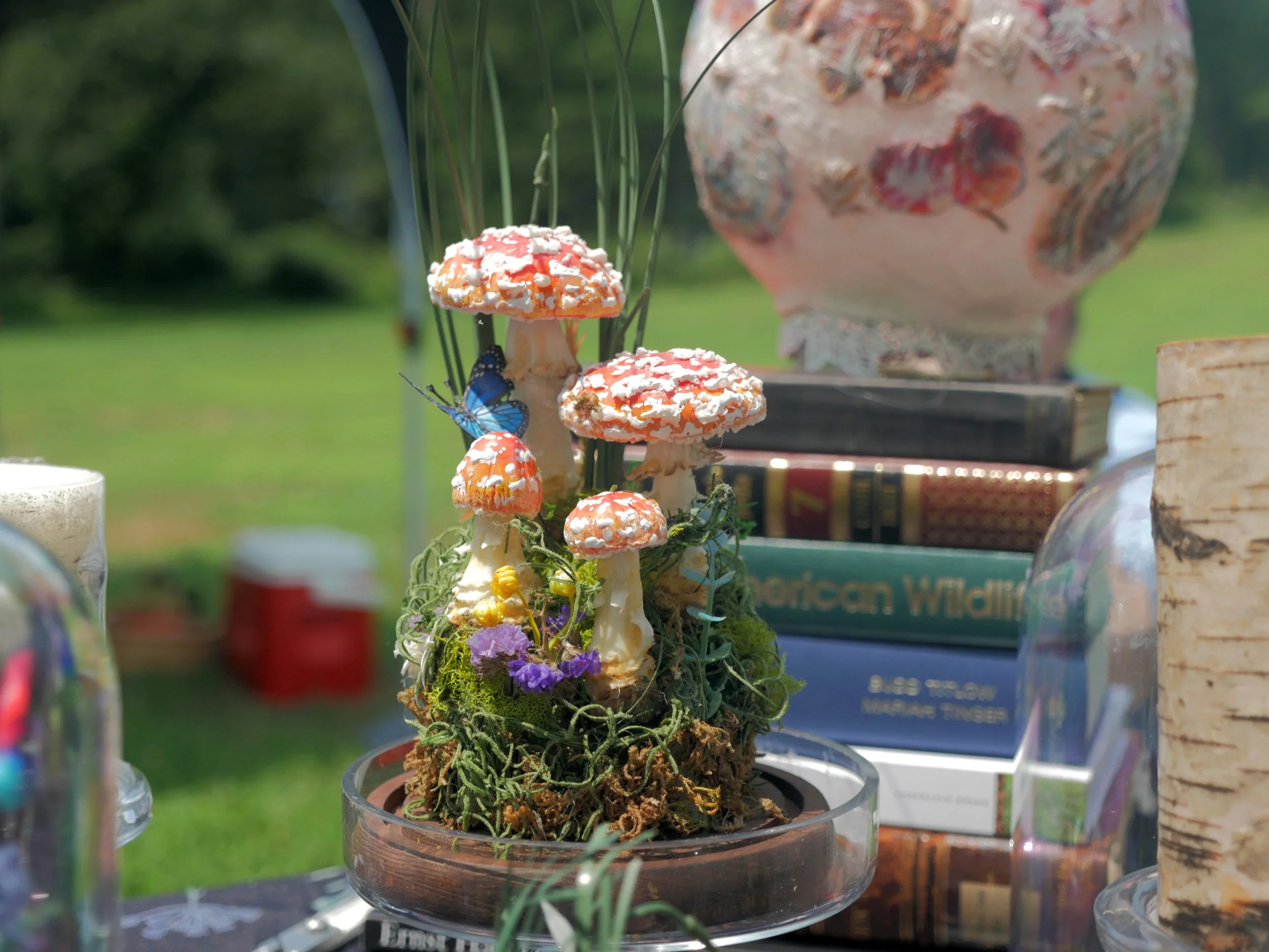 Fly Agaric Terrarium