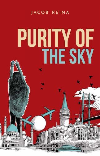 Cover of Purity of the Sky