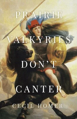 Cover of "Prairie Valkyries Don't Fly" by Cecil Homer