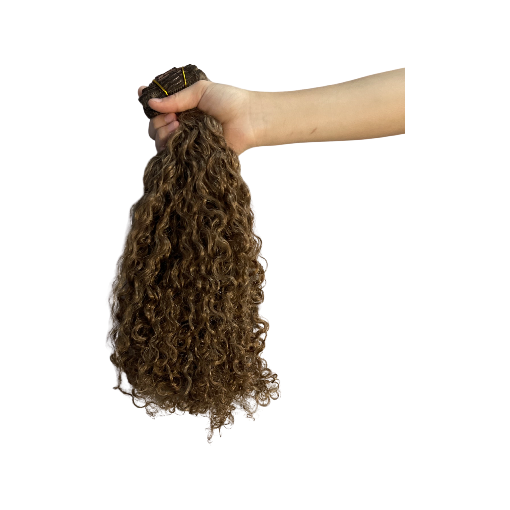 TheCurl-Toasted.png