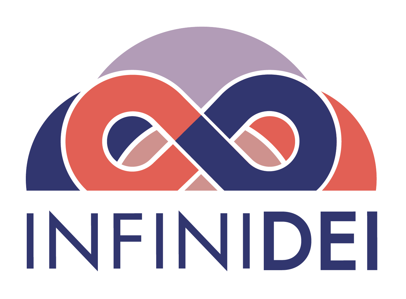 InfiniDEI | Best Career Coach for Organizations and Individuals