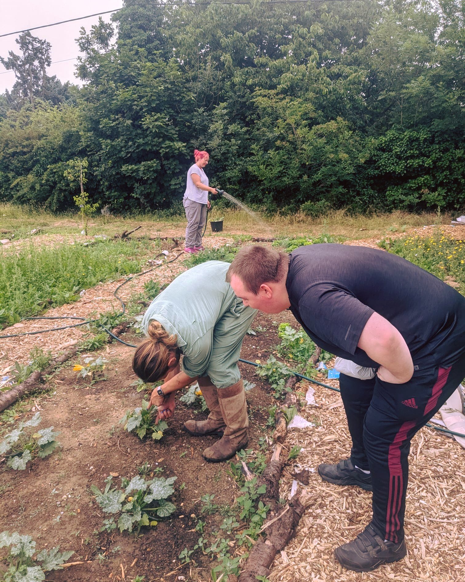 Our hearts are so full after a particularly nourishing day at the kitchen garden. The cooler temperature and light rain was very much welcomed by not only our volunteers and trainees, but also our very thirsty green space. Despite the recent dry weat